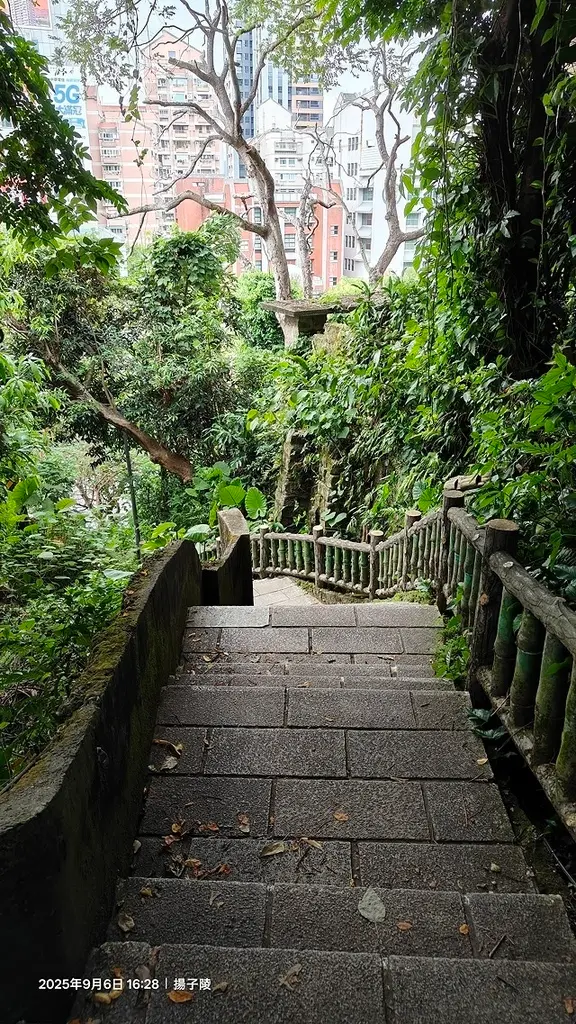 2025台北療癒步道⇨劍潭山親山步道⇨森林方舟(觀音山觀景平