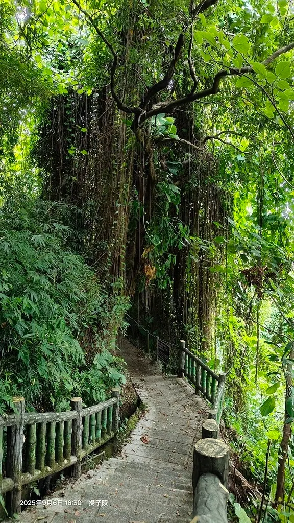 2025台北療癒步道⇨劍潭山親山步道⇨森林方舟(觀音山觀景平
