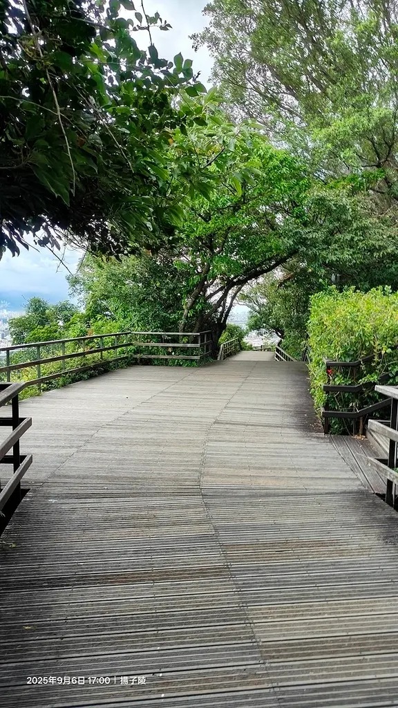 2025台北療癒步道⇨劍潭山親山步道⇨森林方舟(觀音山觀景平