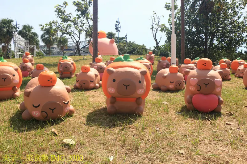 2025卡比胖拉出沒注意！台南萌翻天 快揪朋友來台南安平找超