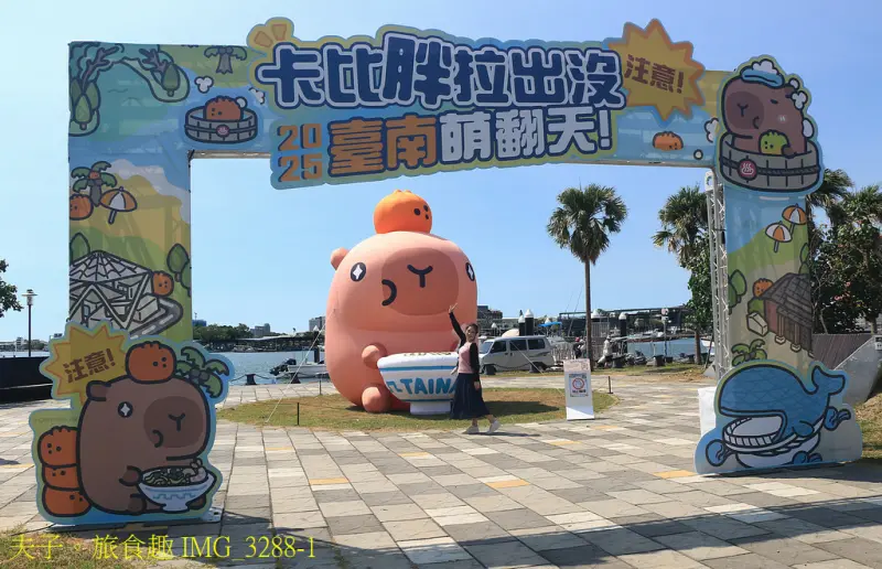 2025卡比胖拉出沒注意！台南萌翻天 快揪朋友來台南安平找超