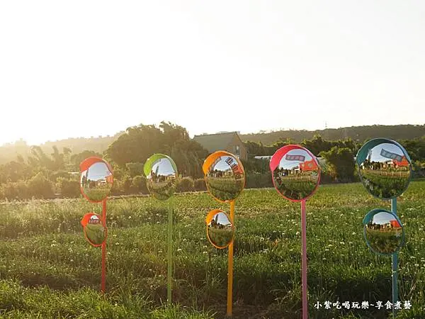 第2站韭菜花田-2025大溪韭菜花節 (2).jpg