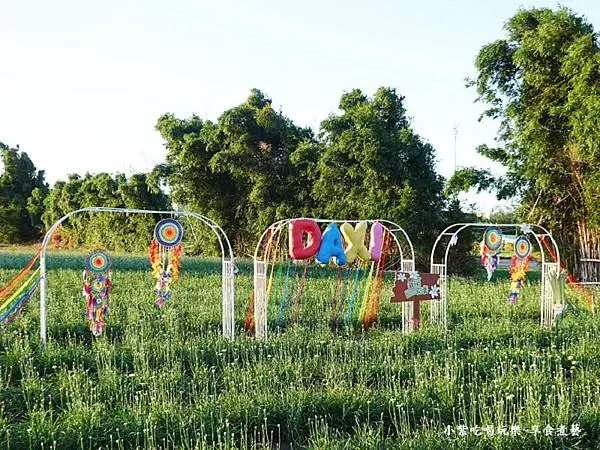 第3站七彩捕夢好運降臨-2025大溪韭菜花節 (4).jpg