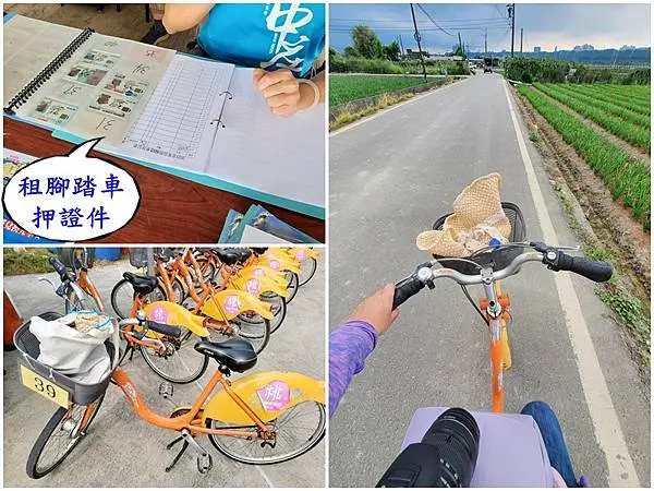 押證件租ubike-2025大溪韭菜花節.jpg