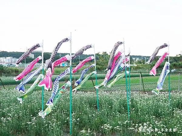 第5站鯉魚旗飛揚-2025大溪韭菜花節 (6).jpg