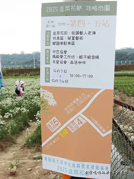 第5站鯉魚旗飛揚-2025大溪韭菜花節 (2).jpg