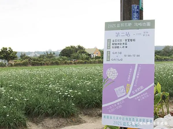 第2站韭菜花田-2025大溪韭菜花節 (1).jpg