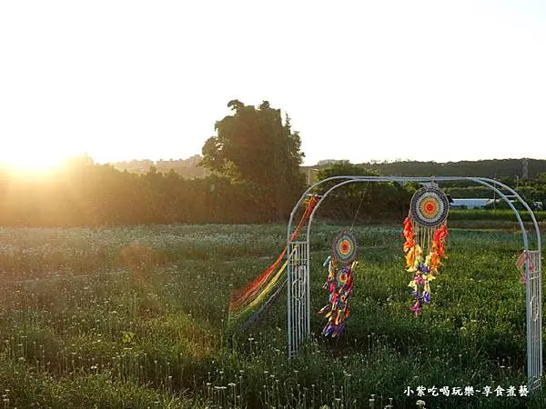 第3站七彩捕夢好運降臨-2025大溪韭菜花節 (6).jpg