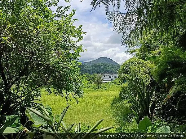 20250620壽豐壽農社區山下部落研習1