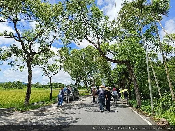 20250620壽豐壽農社區山下部落研習1