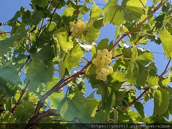 貝羅格拉齊克要塞午餐／保加利亞午餐
