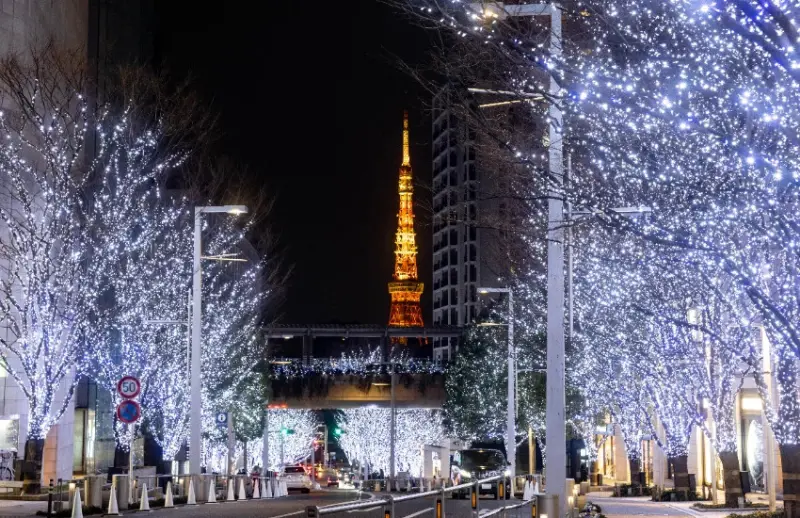 93萬顆燈點亮東京，六本木欅坂大道聖誕市集來了，夢幻燈海、市集、聖誕樹，浪漫氛圍拉滿。