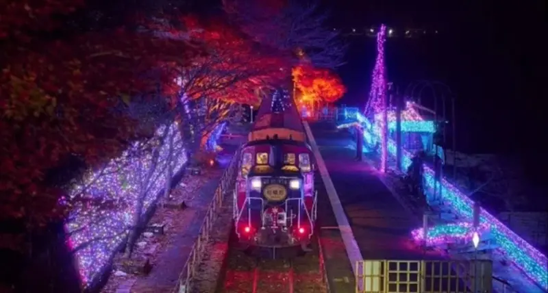 日本最夢幻列車回歸，京都嵯峨野小火車變身銀河列車，1000盞燈光照亮整片紅葉林。