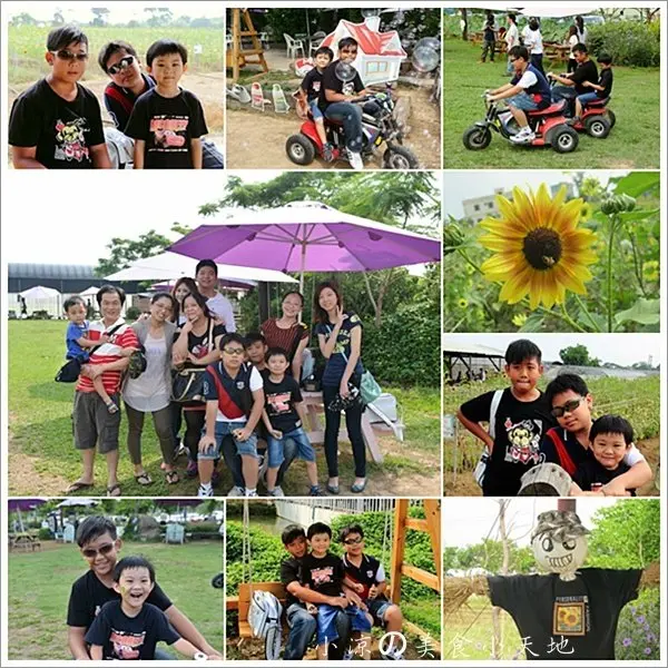 『桃園。觀音』親子同樂逛花海─向陽農場