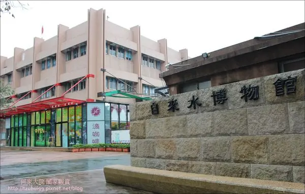 ★北市．吃喝玩樂★小朋友玩到滿頭大汗不想回家,家長可以悠閒放空的跳跳蛙健兒中心&親子餐廳(公館自來水博物館旁)