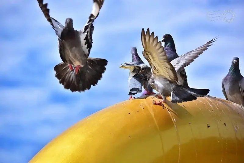 體育大學:志清湖