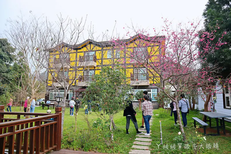 新竹寵物友善餐廳推薦！平日內用超狂8盎司菲力牛排套餐買二送二！即日起到八月底