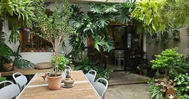 桃園咖啡廳推薦！桃園老宅福森院子迷你植物園必拍，藝文特區早午餐秘境。