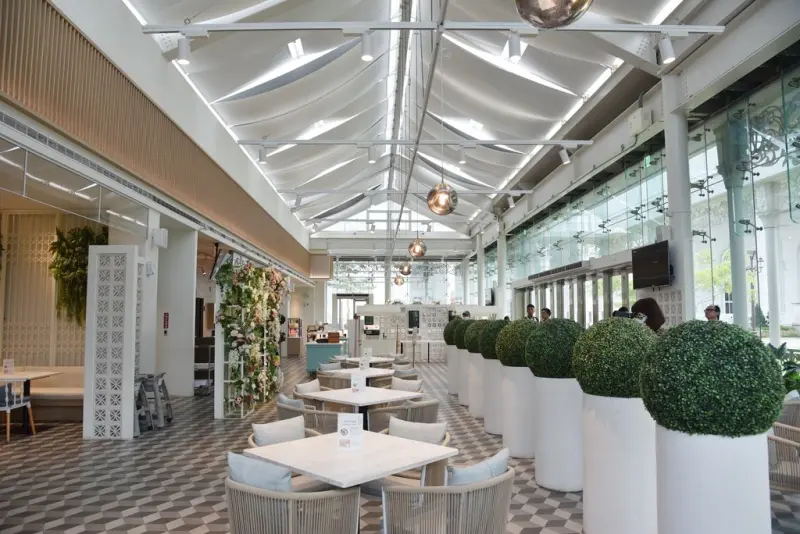 嘉義梅山一日遊行程推薦｜金牌農村太平社區 太平雲梯 太平老街