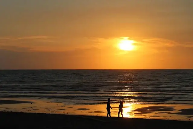 新屋濱海林蔭沙洲 (西濱公路) - 夕陽 - 情侶