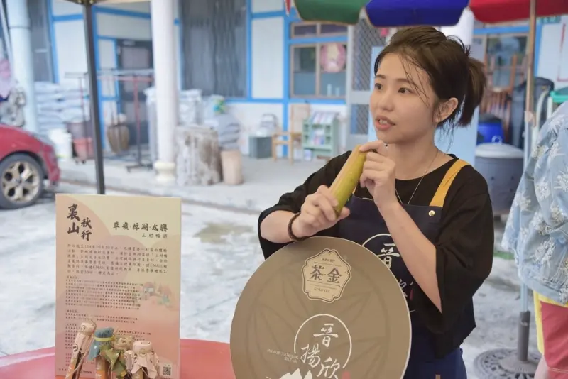 嘉義梅山一日遊行程推薦｜金牌農村太平社區 太平雲梯 太平老街