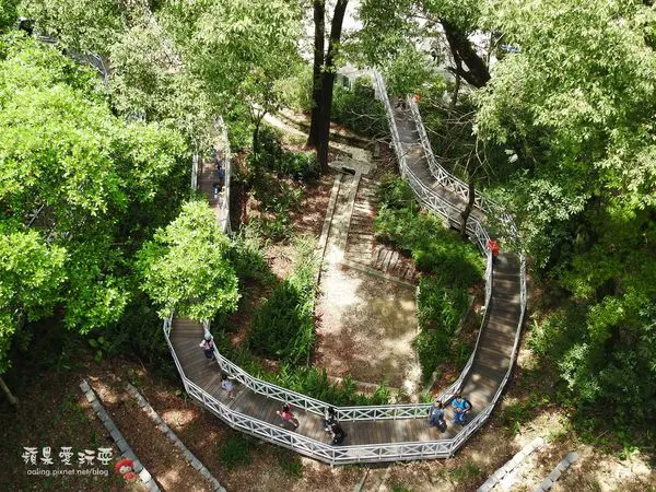 嘉義竹崎‧隨著浪漫的花仙子步道走上刺激的天空走廊~「竹崎親水公園」
