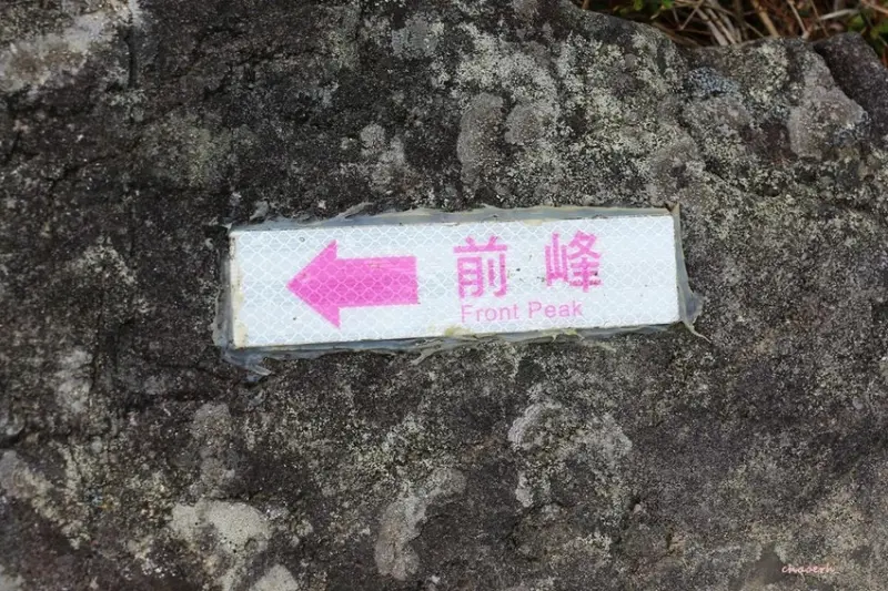 【百岳】玉山前峰(二刷)一日單攻《 3個小隊友(3歲7歲