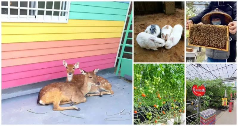 新竹親子景點推薦7選！新竹親子農場 新竹親子餐廳一次看，連假遛小孩去。