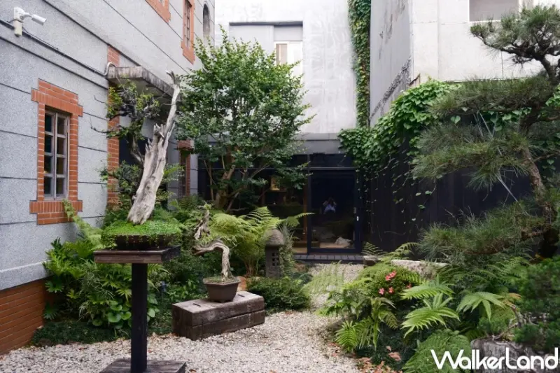 日式庭園咖啡廳！大稻埕「裏 Ura.219」預約制咖啡廳，榻榻米 植栽庭園一秒飛京都。