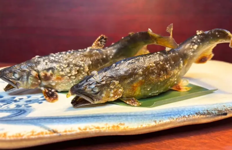 紐約時報也推薦，2026年4月前限定，富山全包式度假村溫泉、美食、住宿，總共不到3千台幣。