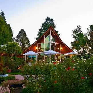 田尾│全得玫瑰莊園～浪漫滿園