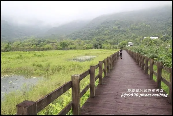 花蓮。漫遊馬太鞍溼地生態園區