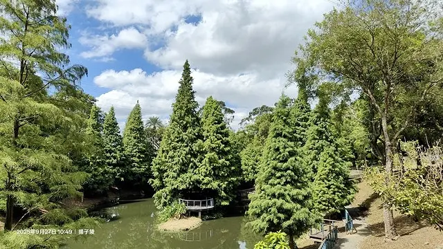 2025桃園長庚養生村落羽松最新現況分享，9/27現場直擊，