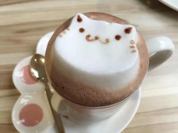 食記 ► 台北 信義區 ◄ 框影咖啡 The Who Cafe ✔ 捷運沿線必吃美食：101世貿中心站 x 貓咪咖啡廳。貓腳蹼杯子盛裝的立體貓咪拉花（有WIFI/插座/不限時＆限時