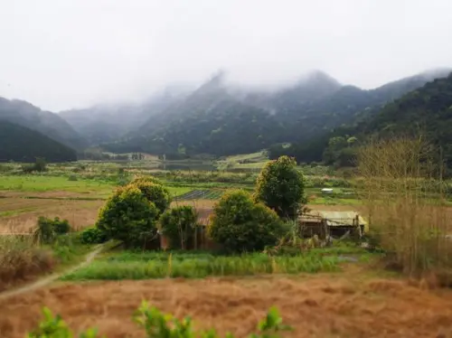 沒有前次盡興-野夫炊煙
