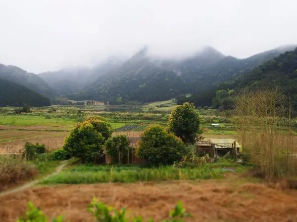 沒有前次盡興-野夫炊煙