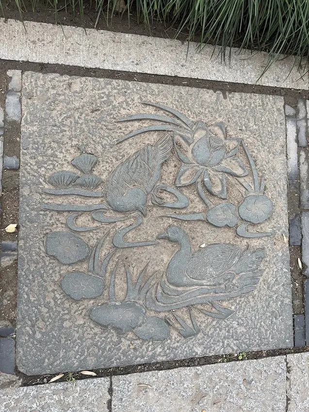 2025蟹逅故事江南D3. 10/20㊀📸杭州西湖風景區(西