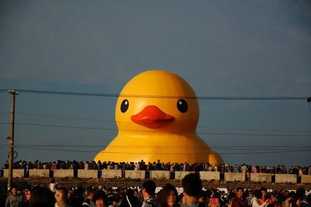 [遊記] 桃園新屋 黃色小鴨 台灣二部曲後湖塘 & 2013桃園縣地景廣場藝術節