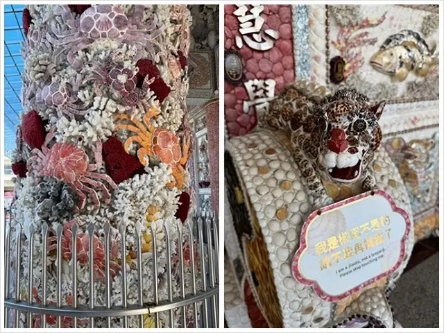 2025從粉紅花海走進海底龍宮，我的淡水奎柔山路(北8)美人