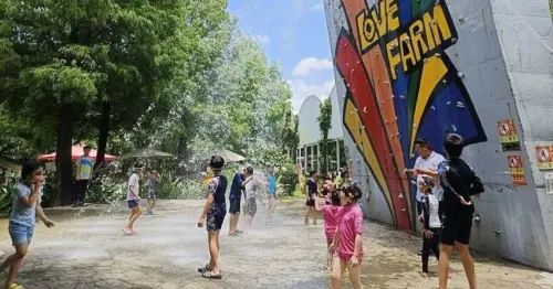 彰化親子景點首選！ 暑假必衝沐卉親子農場，沁涼水滑梯、彩虹瀑布全家都玩翻