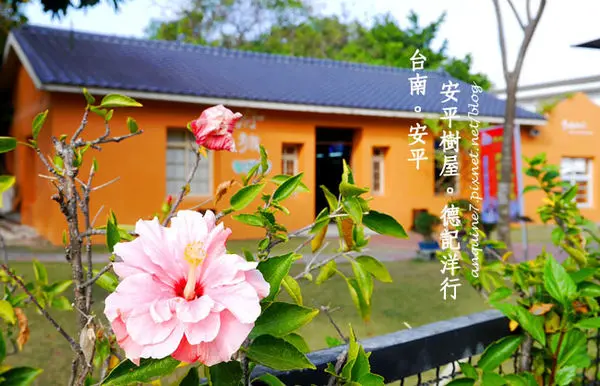 [台南。安平] 天空之城？老榕樹與老屋舍親密共生的安平樹屋X德記洋行