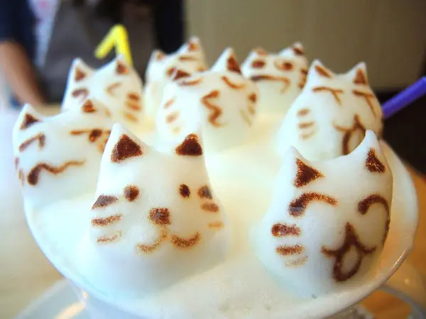 桃園平鎮)理性&感性 café’ - CP超高必朝聖咖啡廳，理性的立體拉花融化你我感性少女心