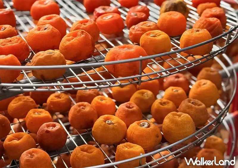 新竹柿餅一日遊！柿代相傳 柴燒柿餅超推、在地人買這間，錯過只能等明年。