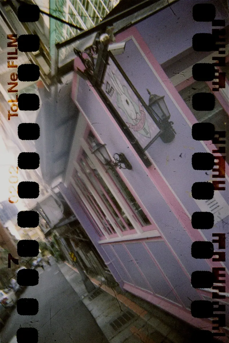 【兔子兔子】關於美食，我想說的其實是…