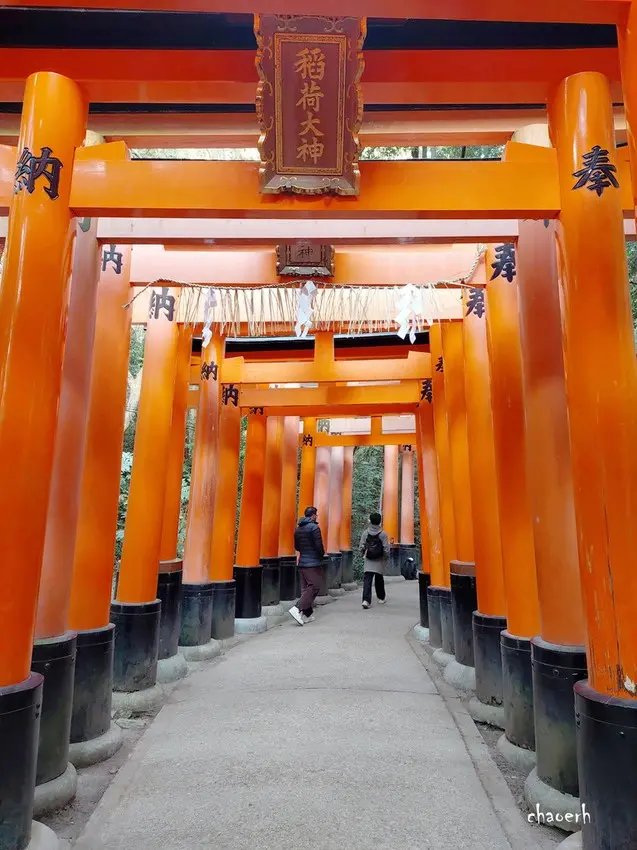 京都-伏見稻荷大社