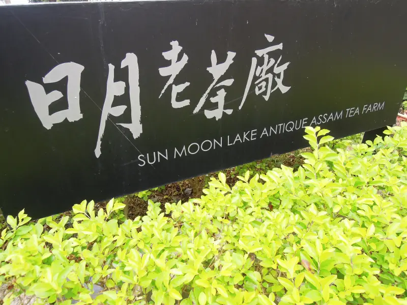 【LULU‧日月小旅行】日月老茶廠‧日日月月原始好味道