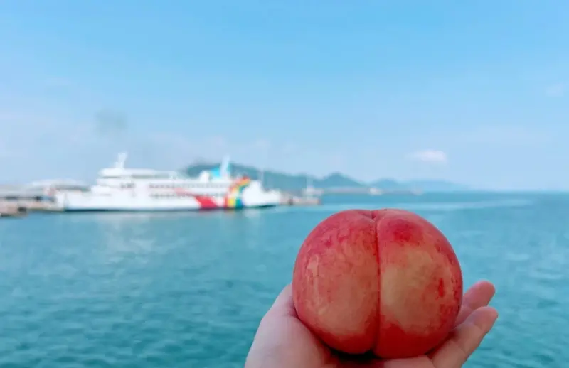 晴天國度的剛剛好，造就香甜水果的剛剛好：岡山白桃的果物文化與5種吃法指南。