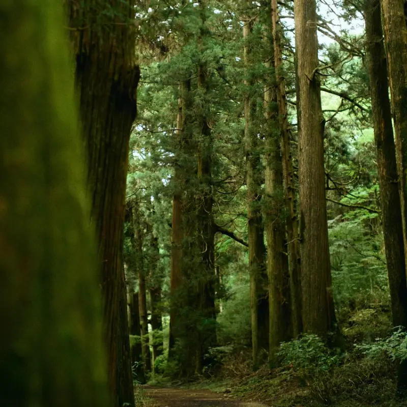 箱根蘆之湖畔秘境民宿GEOSPOT檜木香氛、湖景庭院、私人三溫暖，比飯店還划算的度假包棟Villa。