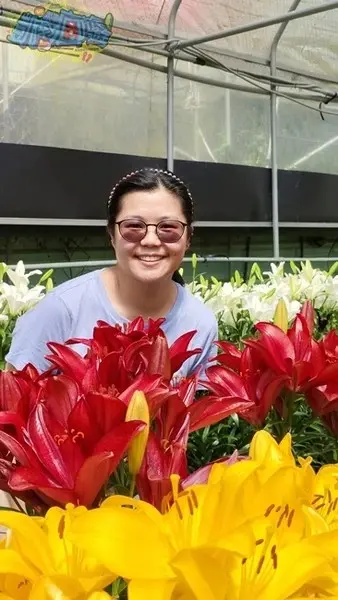 活動分享【2025阿里山百合花季】秋日浪漫的嘉義阿里山賞花之