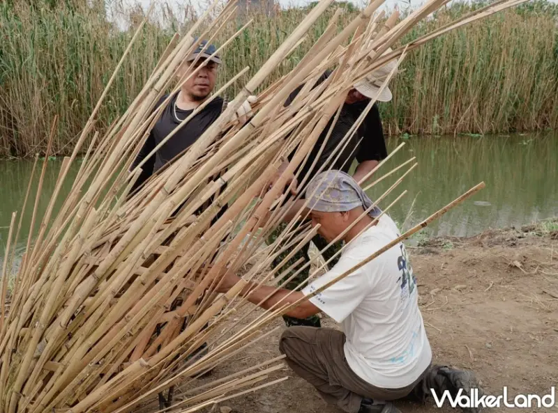 2025濕地藝術季全攻略！14件環境藝術作品、互動市集、展期地點，一次掌握。